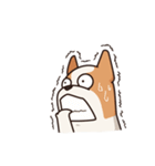 Playful Chihuahua（個別スタンプ：27）