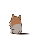 Playful Chihuahua（個別スタンプ：29）