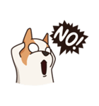 Playful Chihuahua（個別スタンプ：31）