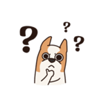Playful Chihuahua（個別スタンプ：32）