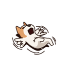 Playful Chihuahua（個別スタンプ：33）