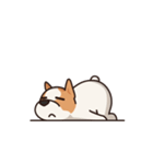 Playful Chihuahua（個別スタンプ：35）
