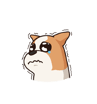 Playful Chihuahua（個別スタンプ：37）