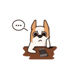 Playful Chihuahua（個別スタンプ：40）