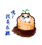 This is Ginseng（個別スタンプ：5）