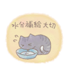 猫と天気（個別スタンプ：3）