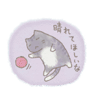 猫と天気（個別スタンプ：6）