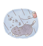 猫と天気（個別スタンプ：15）