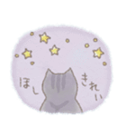 猫と天気（個別スタンプ：27）