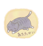 猫と天気（個別スタンプ：29）