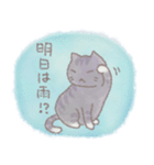 猫と天気（個別スタンプ：40）