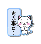 しろねこ基本セット（個別スタンプ：16）