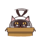 neko moonmoon（個別スタンプ：40）