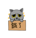 TaRouSun LAN cat LIVE（個別スタンプ：23）