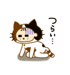 子ネコのこねちゃん（個別スタンプ：38）