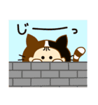 子ネコのこねちゃん（個別スタンプ：39）