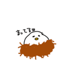 ぴよにぎり（個別スタンプ：12）