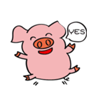 We are funny Piggy family（個別スタンプ：4）