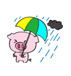 We are funny Piggy family（個別スタンプ：15）