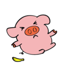We are funny Piggy family（個別スタンプ：16）