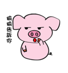 We are funny Piggy family（個別スタンプ：23）
