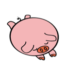 We are funny Piggy family（個別スタンプ：36）