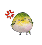 ゆかいな小鳥たちの戯れ（個別スタンプ：1）