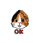 もるとうさの楽しい生活（個別スタンプ：1）