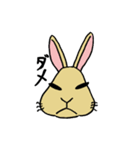 もるとうさの楽しい生活（個別スタンプ：4）