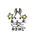 もるとうさの楽しい生活（個別スタンプ：7）