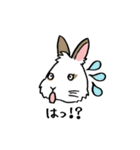 もるとうさの楽しい生活（個別スタンプ：8）