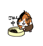 もるとうさの楽しい生活（個別スタンプ：29）