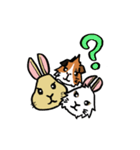 もるとうさの楽しい生活（個別スタンプ：34）