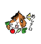 もるとうさの楽しい生活（個別スタンプ：38）