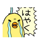 しゃちほこサムライ（個別スタンプ：32）