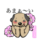 犬と花言葉（個別スタンプ：4）