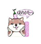 犬と花言葉（個別スタンプ：7）