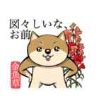犬と花言葉（個別スタンプ：9）