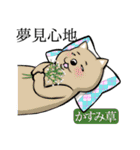 犬と花言葉（個別スタンプ：15）