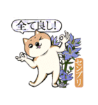 犬と花言葉（個別スタンプ：17）