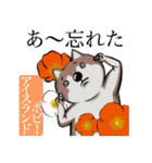 犬と花言葉（個別スタンプ：19）