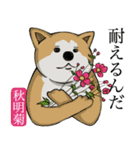 犬と花言葉（個別スタンプ：21）