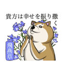 犬と花言葉（個別スタンプ：23）