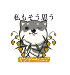 犬と花言葉（個別スタンプ：24）