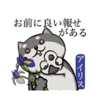 犬と花言葉（個別スタンプ：27）