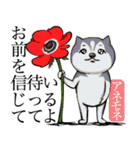 犬と花言葉（個別スタンプ：29）