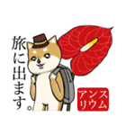 犬と花言葉（個別スタンプ：31）