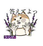 犬と花言葉（個別スタンプ：34）