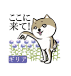 犬と花言葉（個別スタンプ：39）
