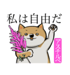 犬と花言葉（個別スタンプ：40）